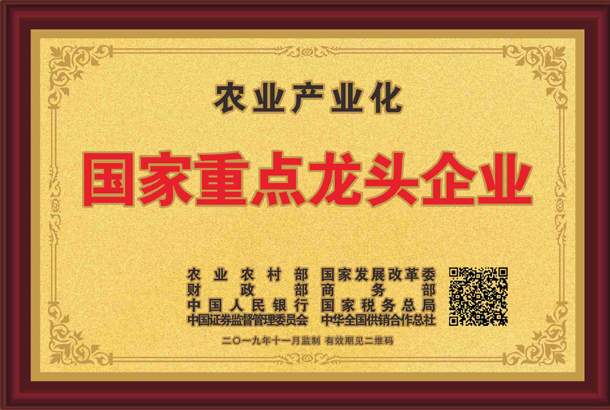 殊榮加身！湘豐茶業(yè)集團(tuán)再獲標(biāo)桿龍頭企業(yè)和優(yōu)勢特色產(chǎn)業(yè)30強(qiáng)等稱號