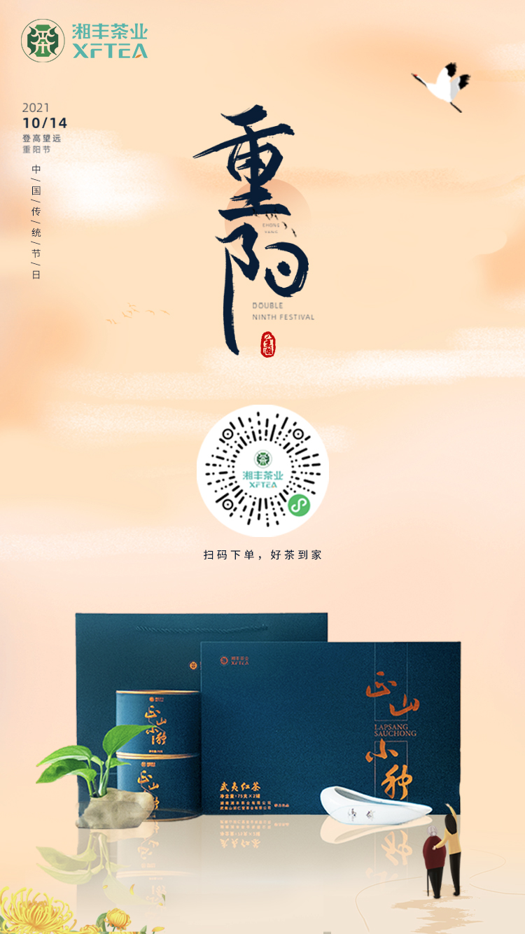 重陽(yáng)節(jié)海報(bào).jpg