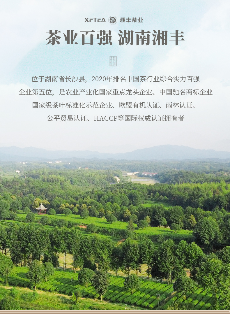 為人民服務50毛尖茶詳情頁_07.jpg