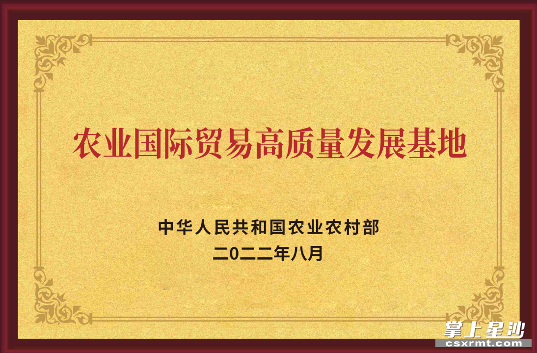 長沙縣湘豐茶業(yè)集團為湖南省茶葉行業(yè)唯一獲“國家級農(nóng)業(yè)國際貿(mào)易高質(zhì)量發(fā)展基地”認定的生產(chǎn)、加工、貿(mào)易復合型民營企業(yè)。均為集團供圖