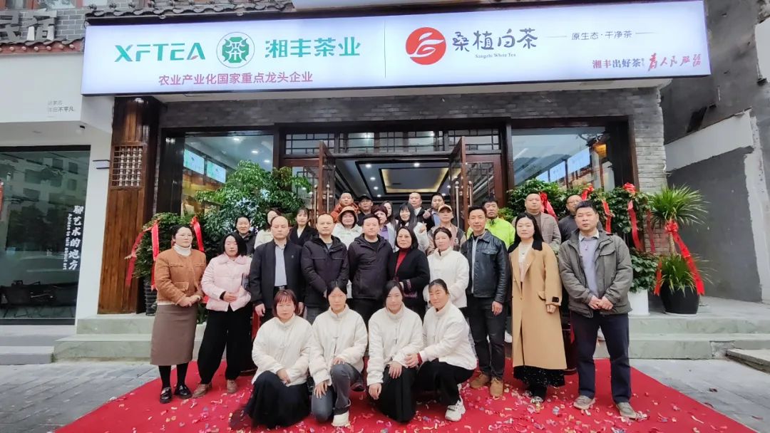 湘豐茶業(yè)·桑植白茶張家界武陵源旗艦店盛大開業(yè)！