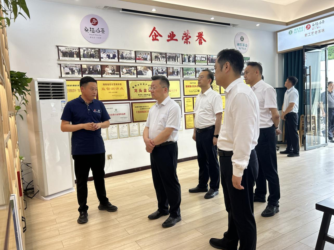 市委副書記、代市長陳澎帶隊(duì)調(diào)研湘豐桑植白茶公司